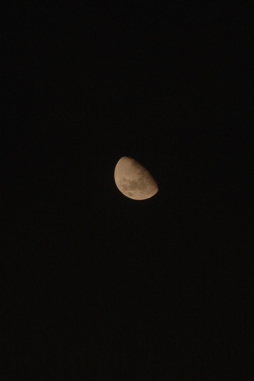 a half moon is seen in the dark sky