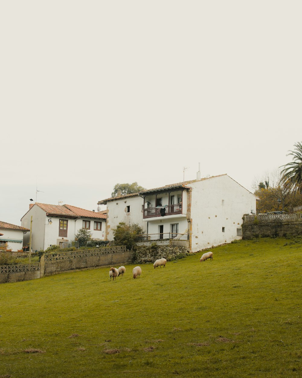 a herd of sheep grazing on a lush green hillside