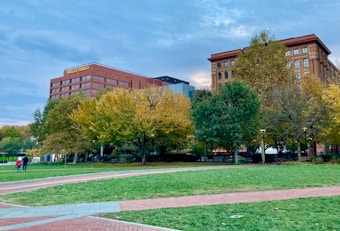 A cityscape featuring two prominent buildings with one labeled with a bank's name. The scene includes a park in the foreground with lush green grass, autumn-colored trees, and paved walkways. A few people are strolling along the pathways, contributing to a peaceful urban environment.