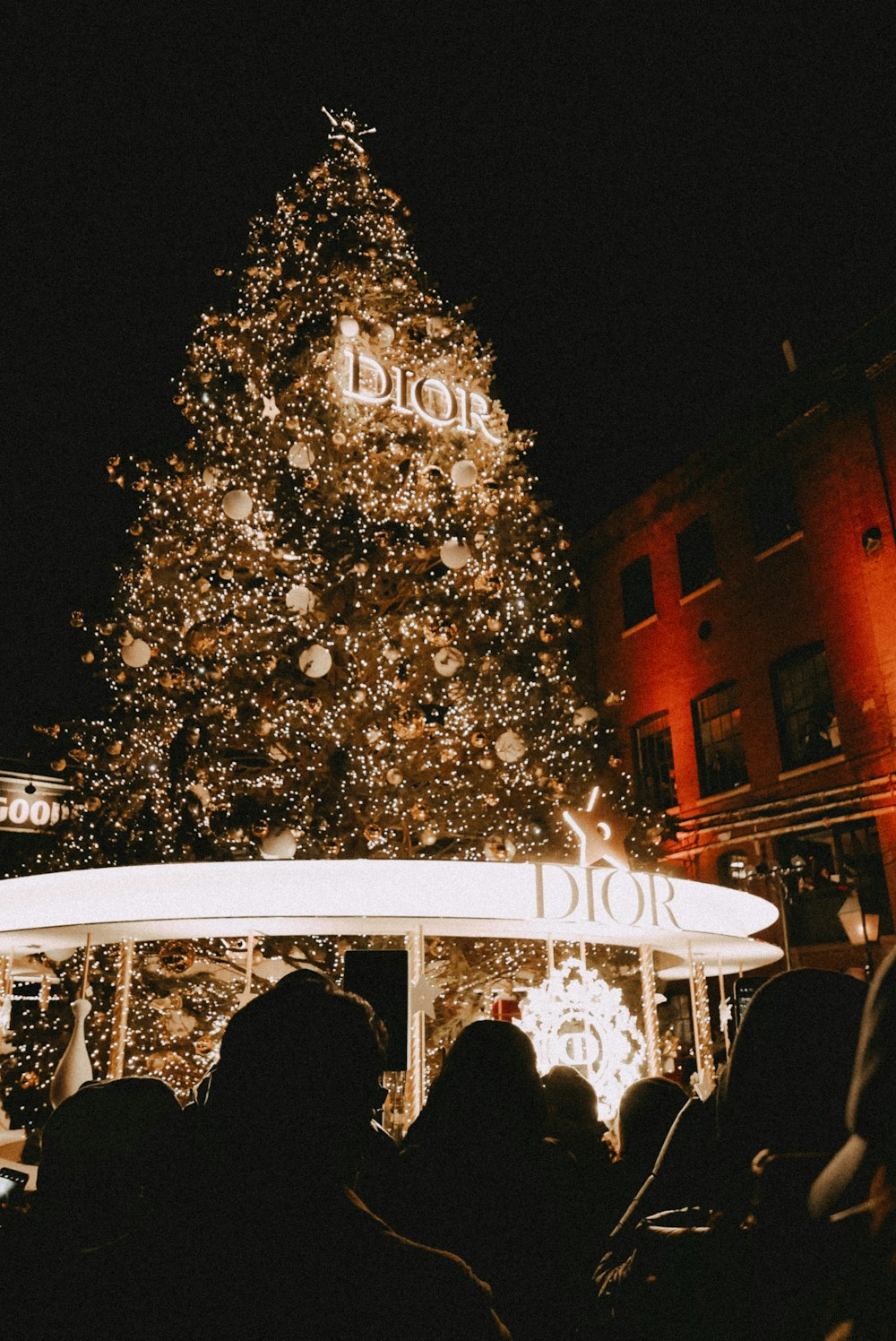 a large christmas tree is lit up at night