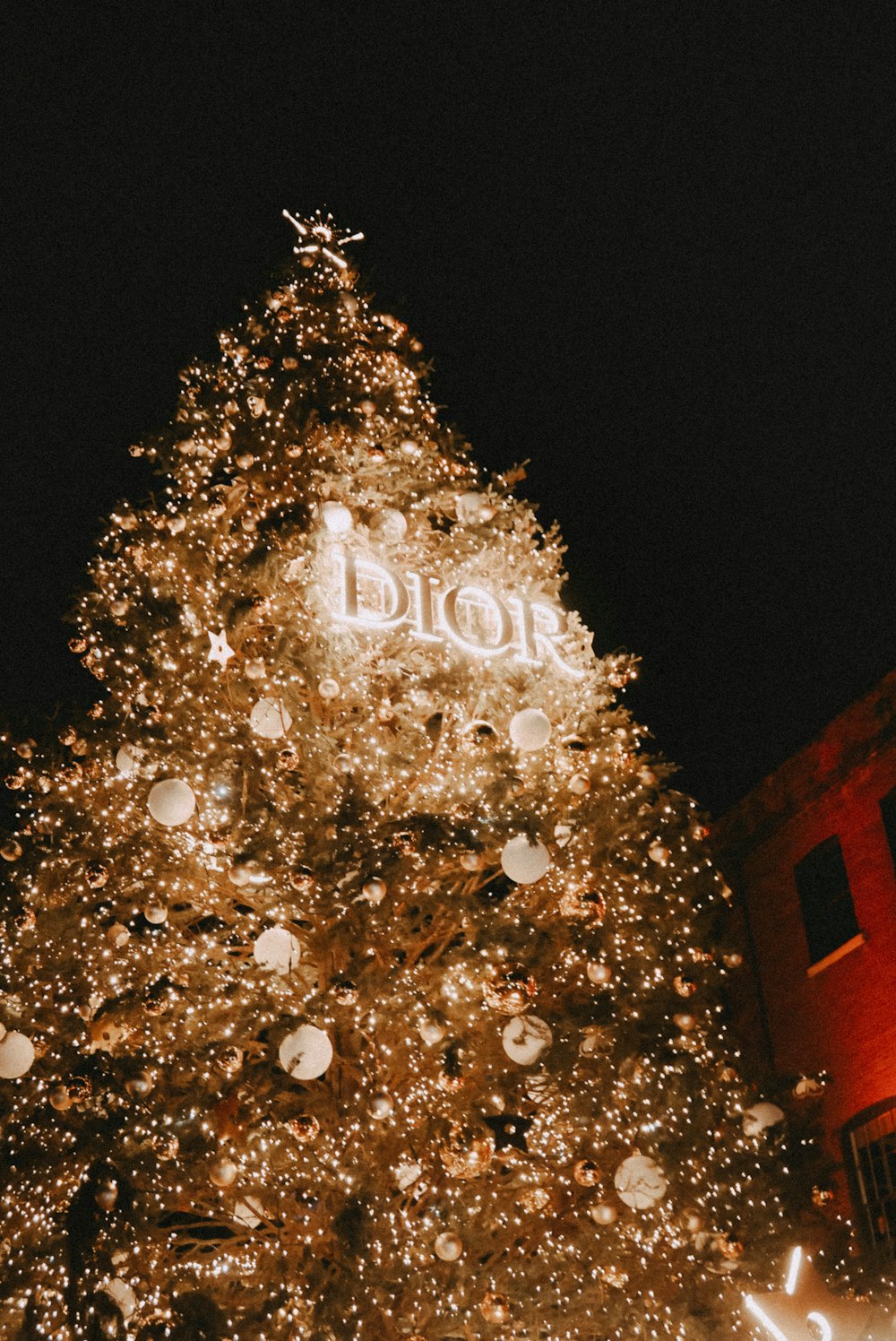 a large christmas tree is lit up at night