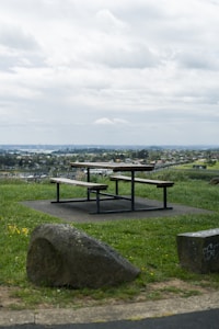 Folding Picnic Table