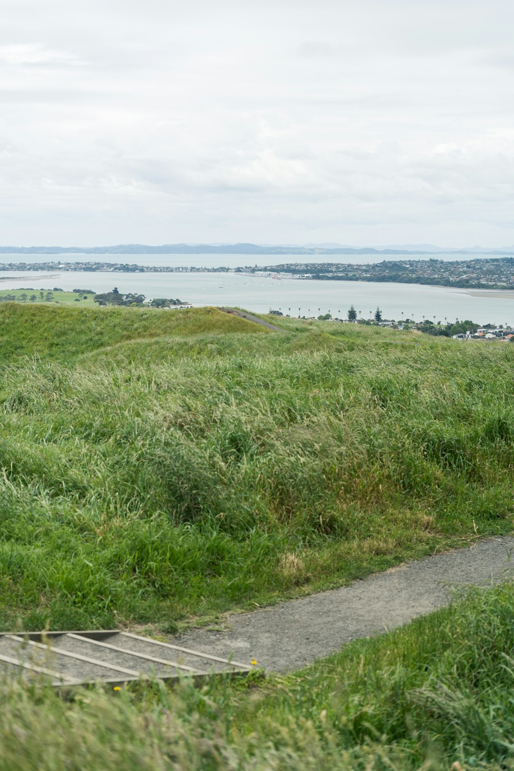 a man riding a bike on top of a lush green hillside