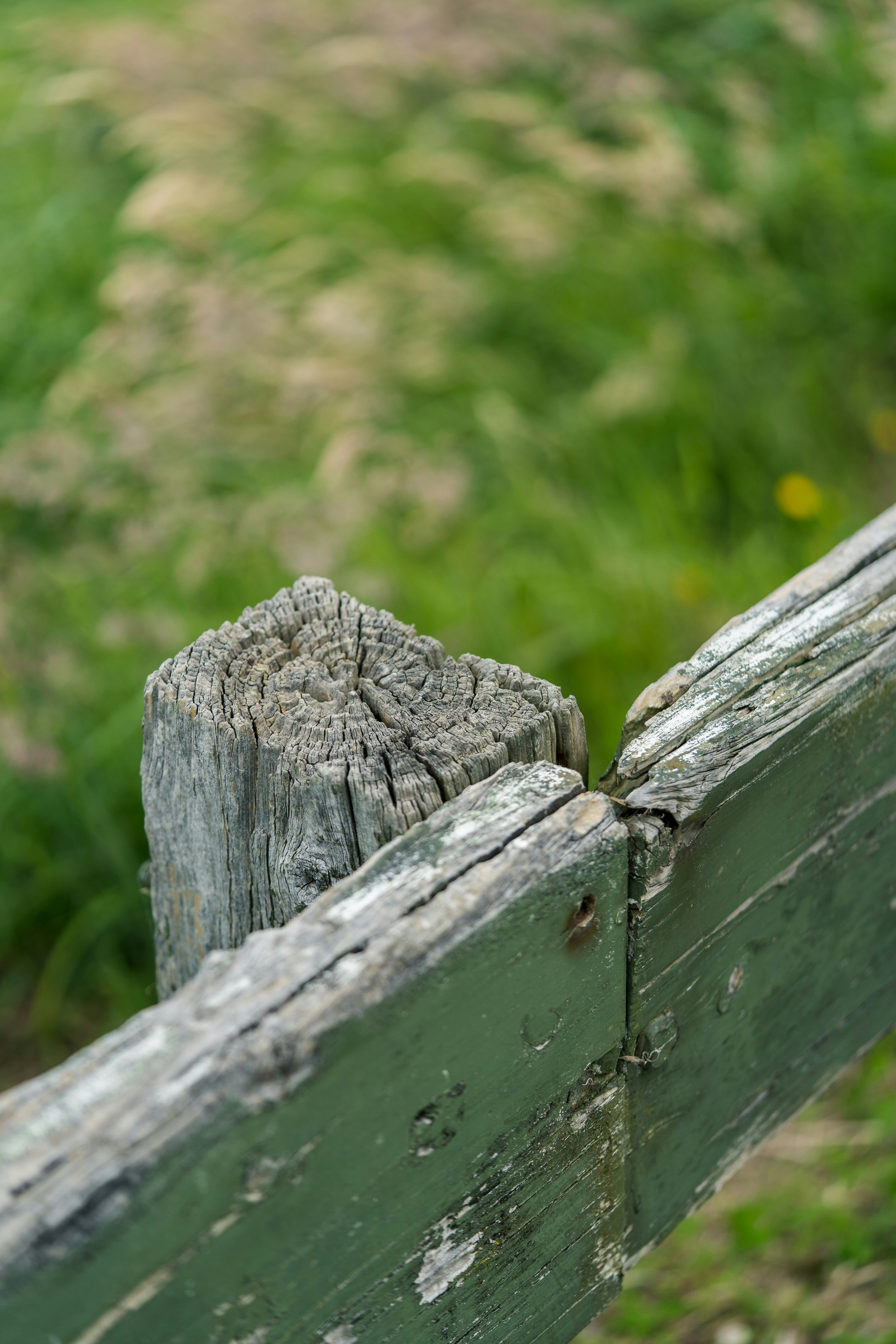 weathered wood fence