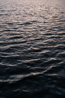 A serene aquaculture pond at dawn with gentle ripples reflecting the soft morning light.