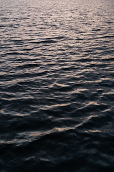 A serene aquaculture pond at dawn with gentle ripples reflecting the soft morning light.