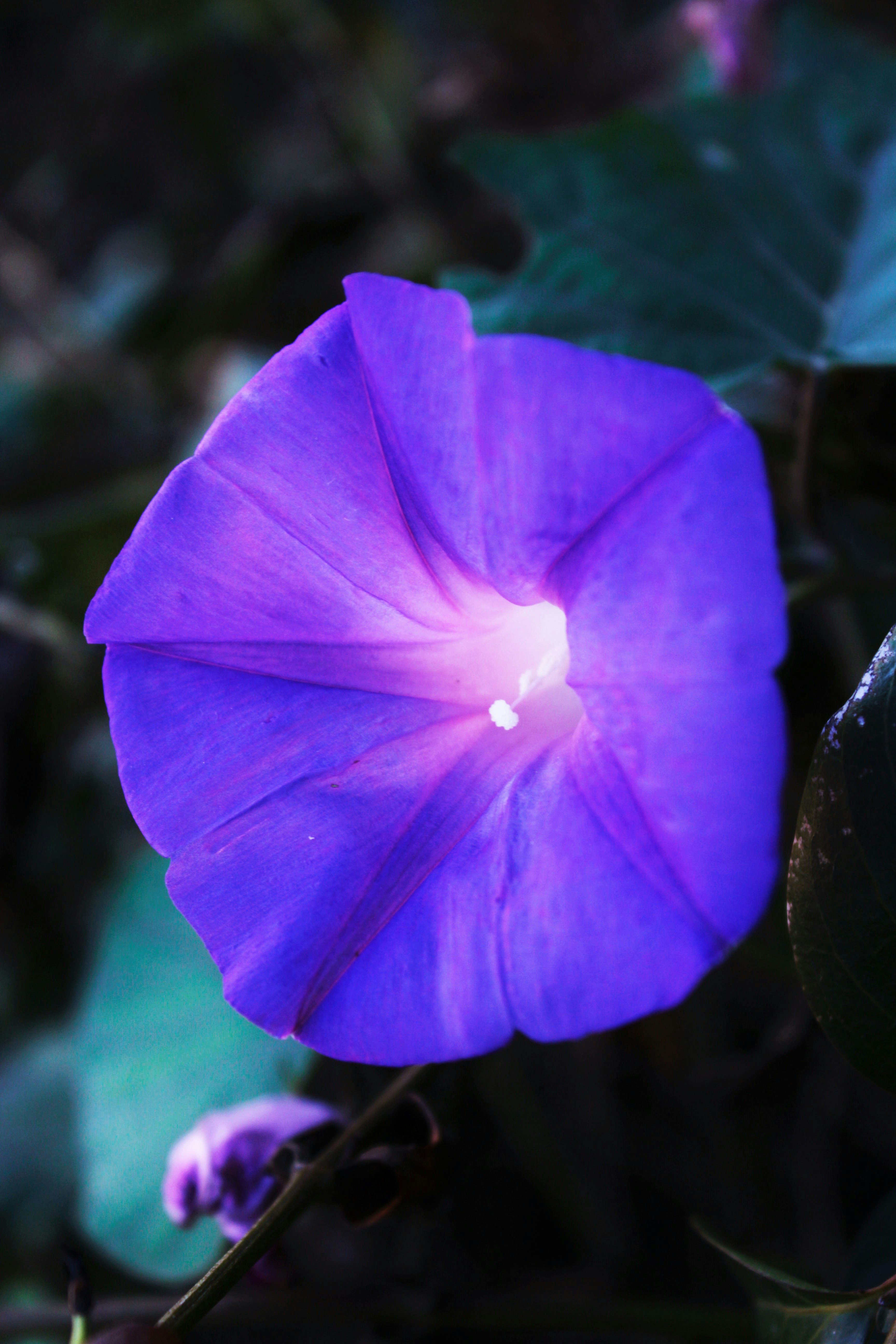 Photo by carlosdolalla