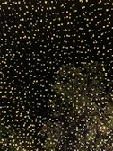 A peaceful evening scene with twinkling fairy lights wrapped around branches.
