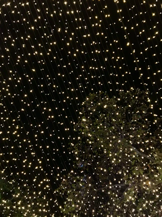 A peaceful evening scene with twinkling fairy lights wrapped around branches.