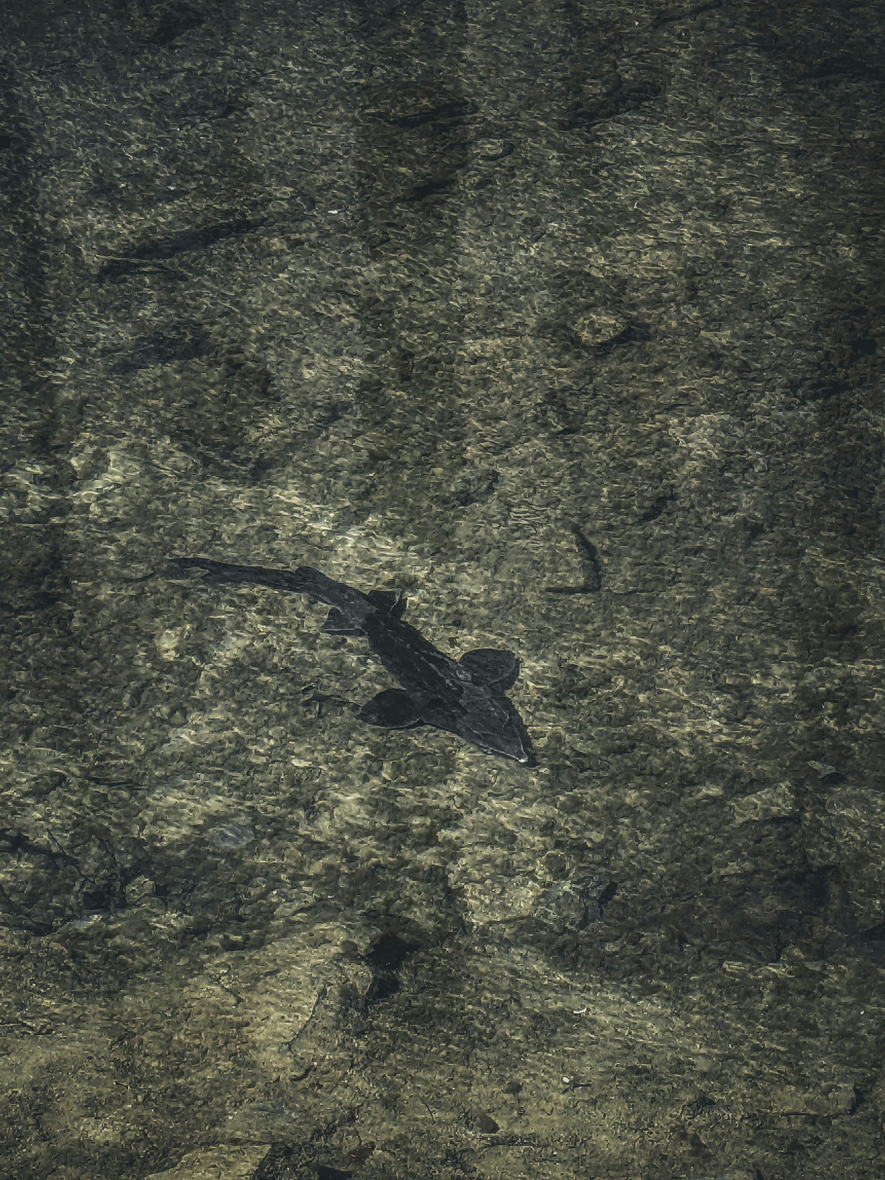 Photo by darkpro1337