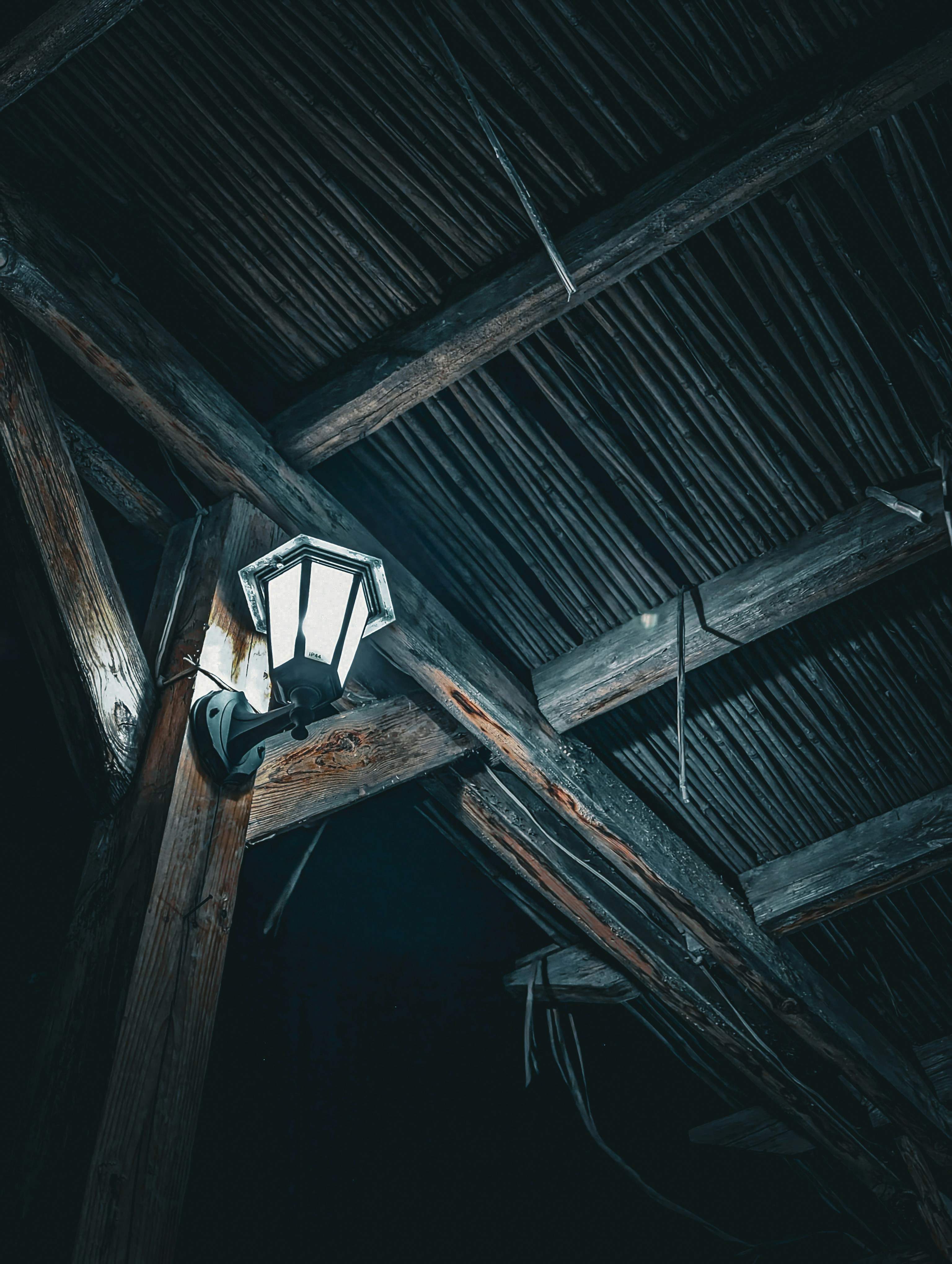 Photo by darkpro1337