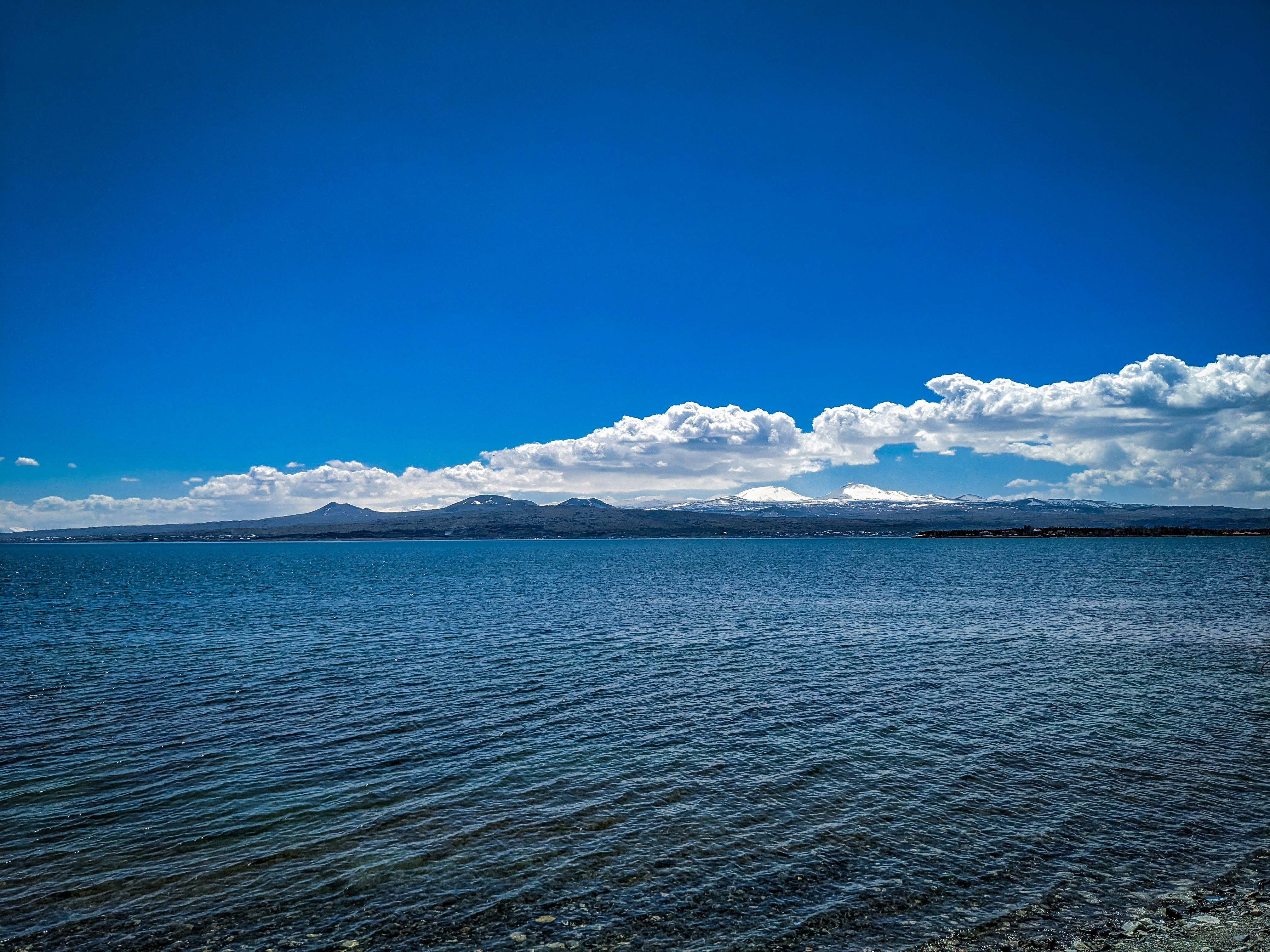 Photo by darkpro1337