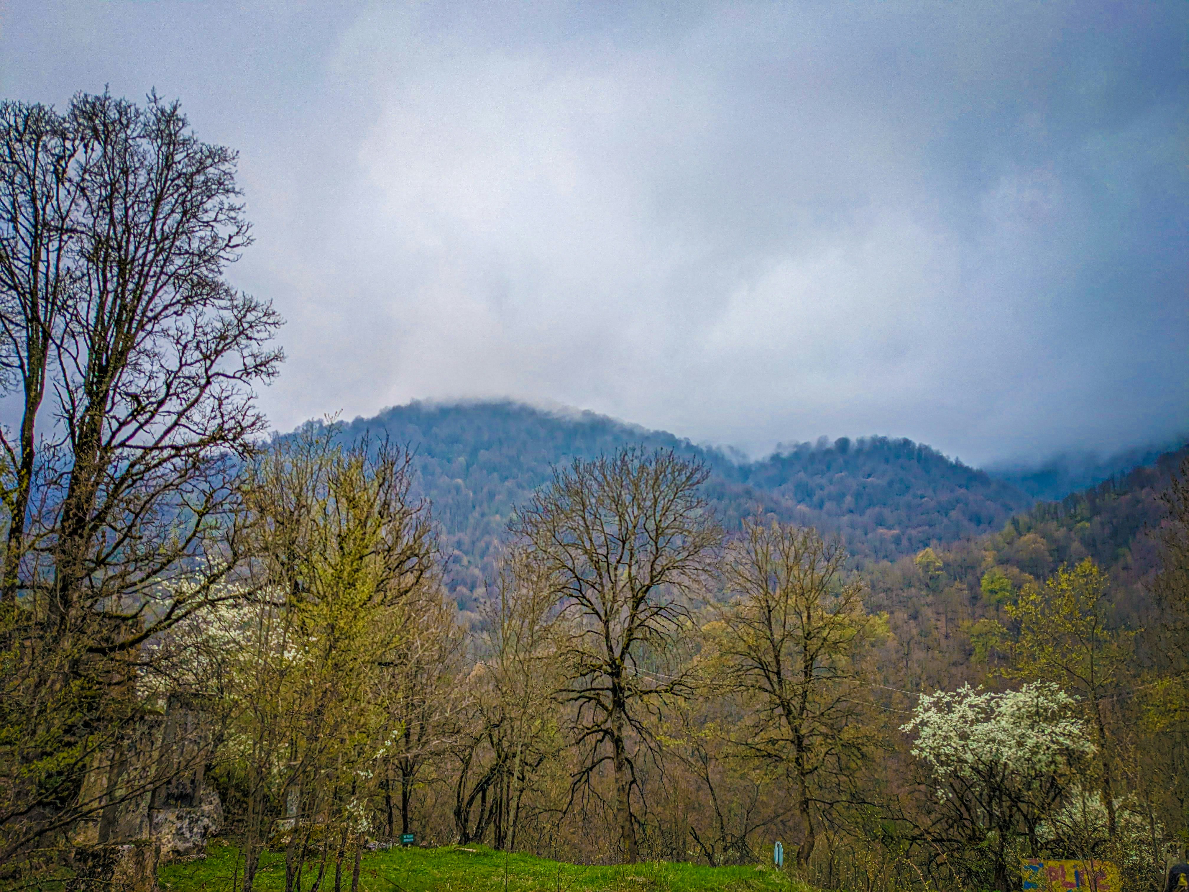 Photo by darkpro1337