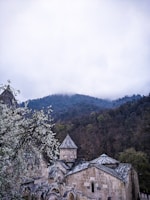 Historic stone buildings of Rohan framed by lush greenery under a soft afternoon sky.