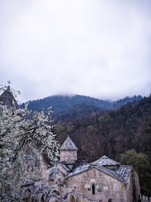 Historic stone buildings of Rohan framed by lush greenery under a soft afternoon sky.