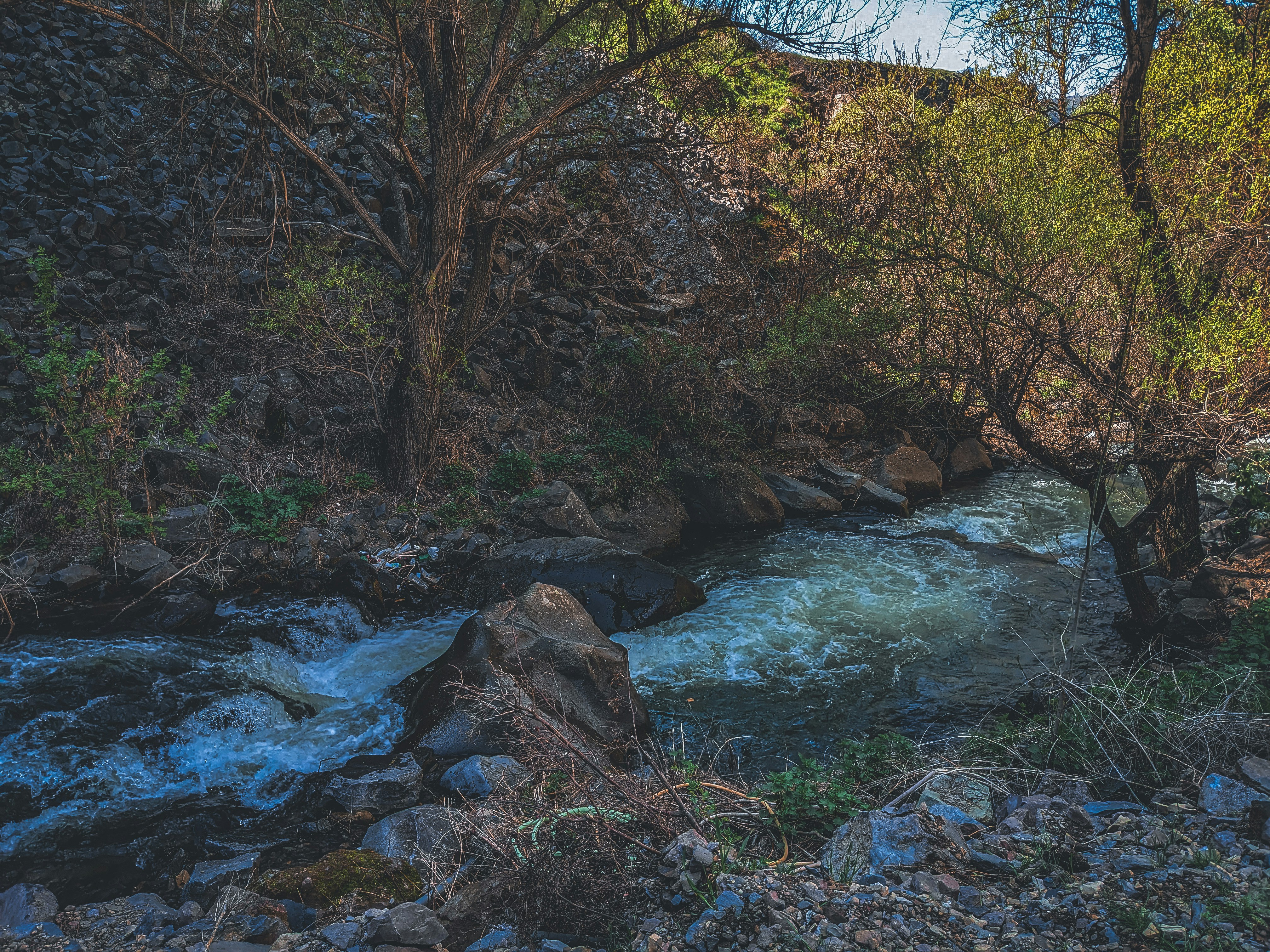 a river running through a lush green forest