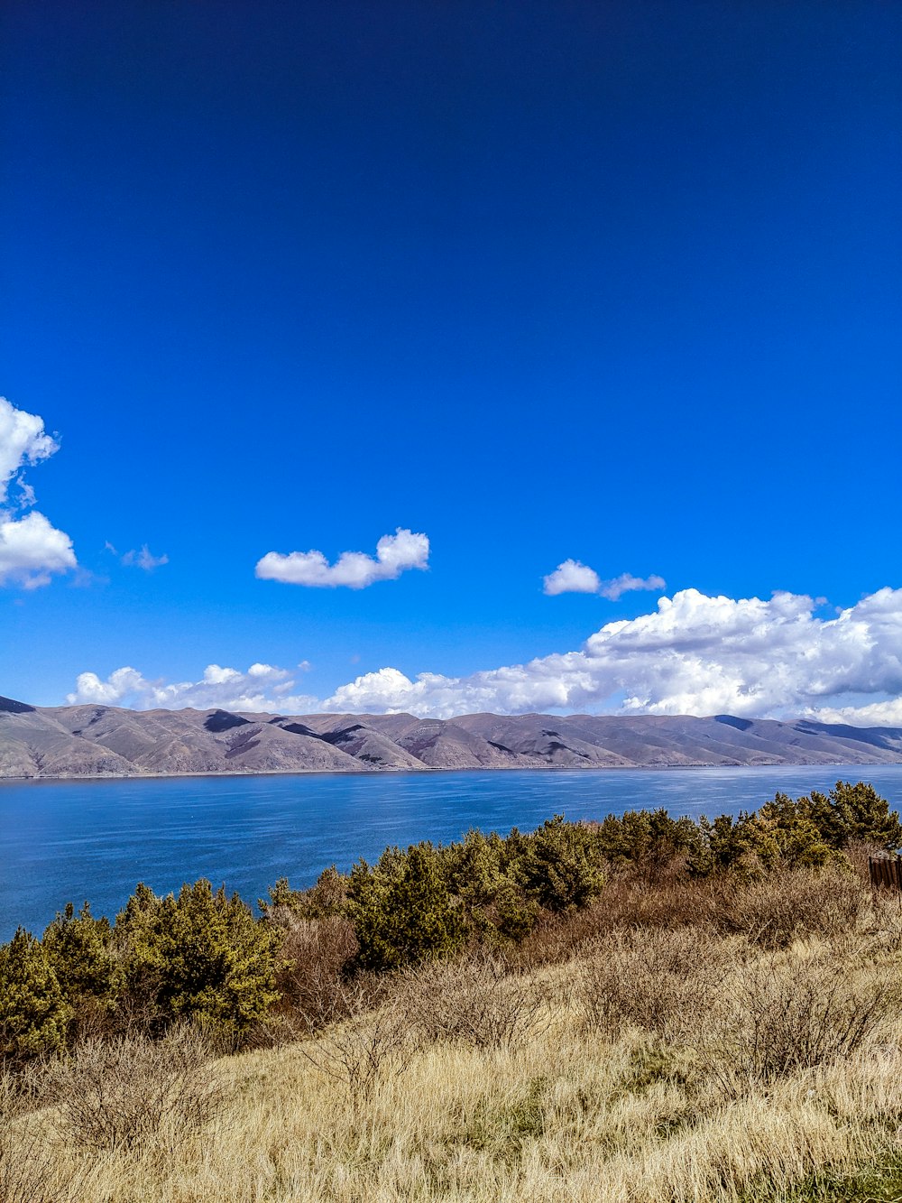 a large body of water sitting next to a lush green field