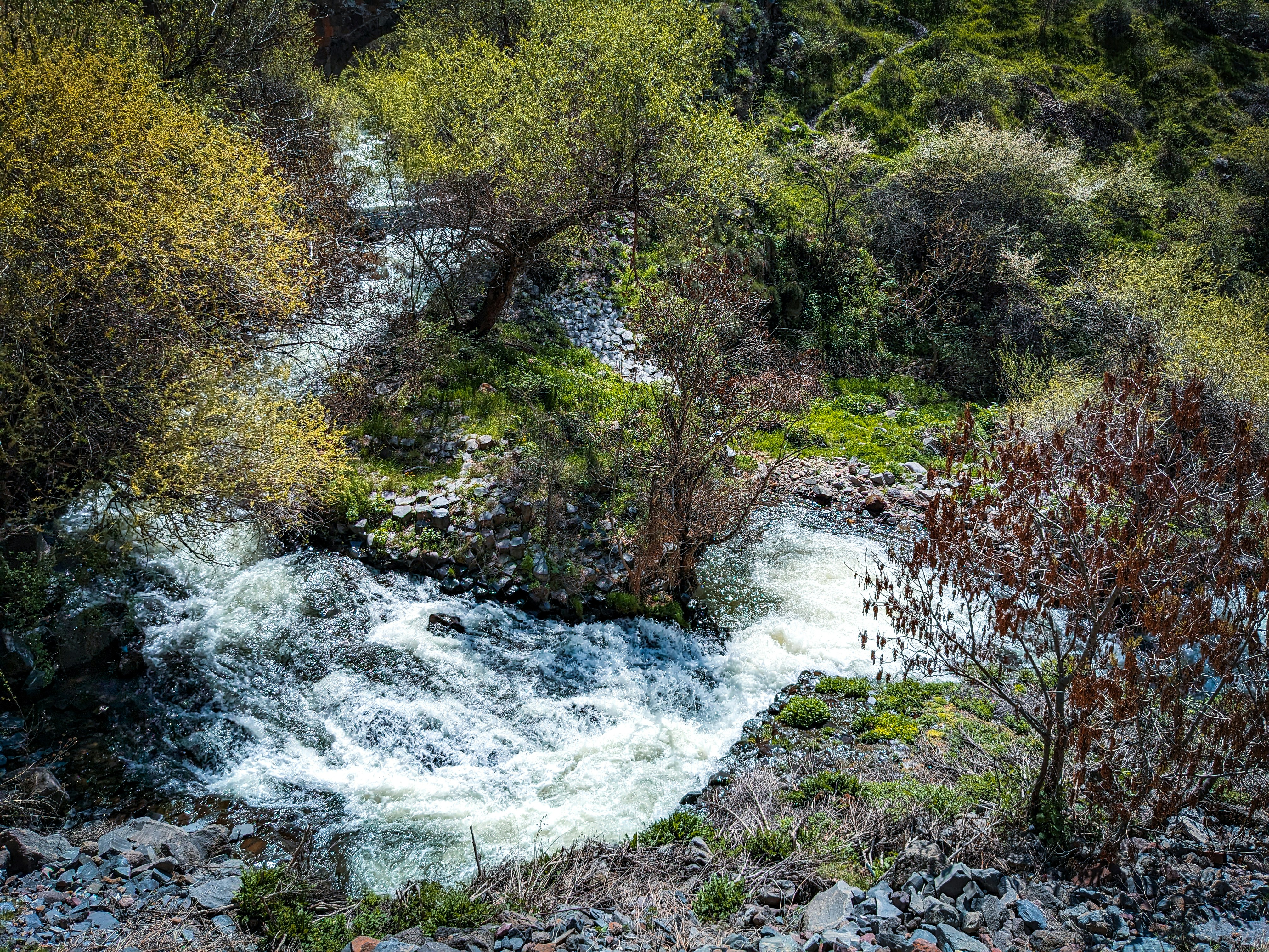 Photo by darkpro1337