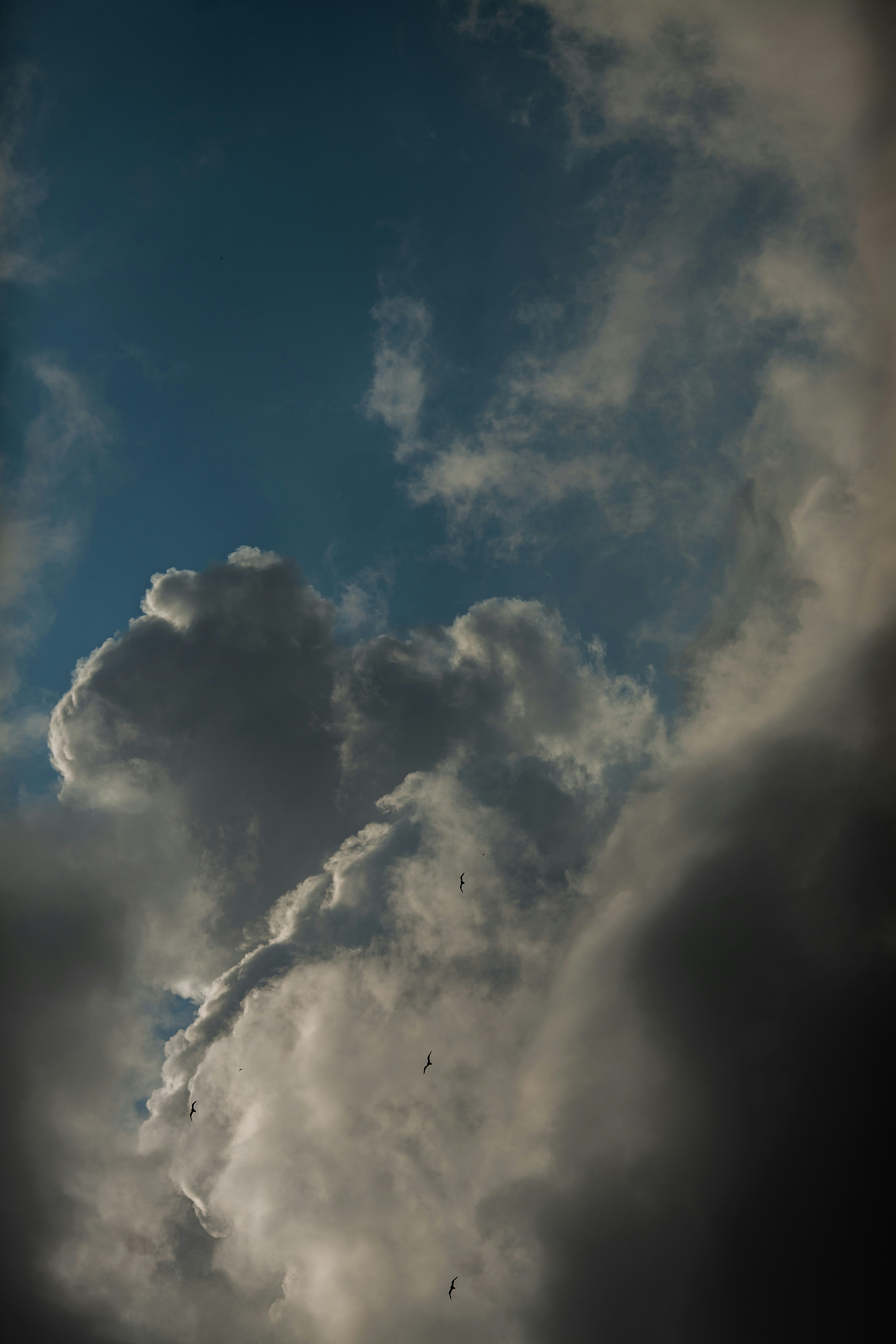 Photo by ashaberezutska