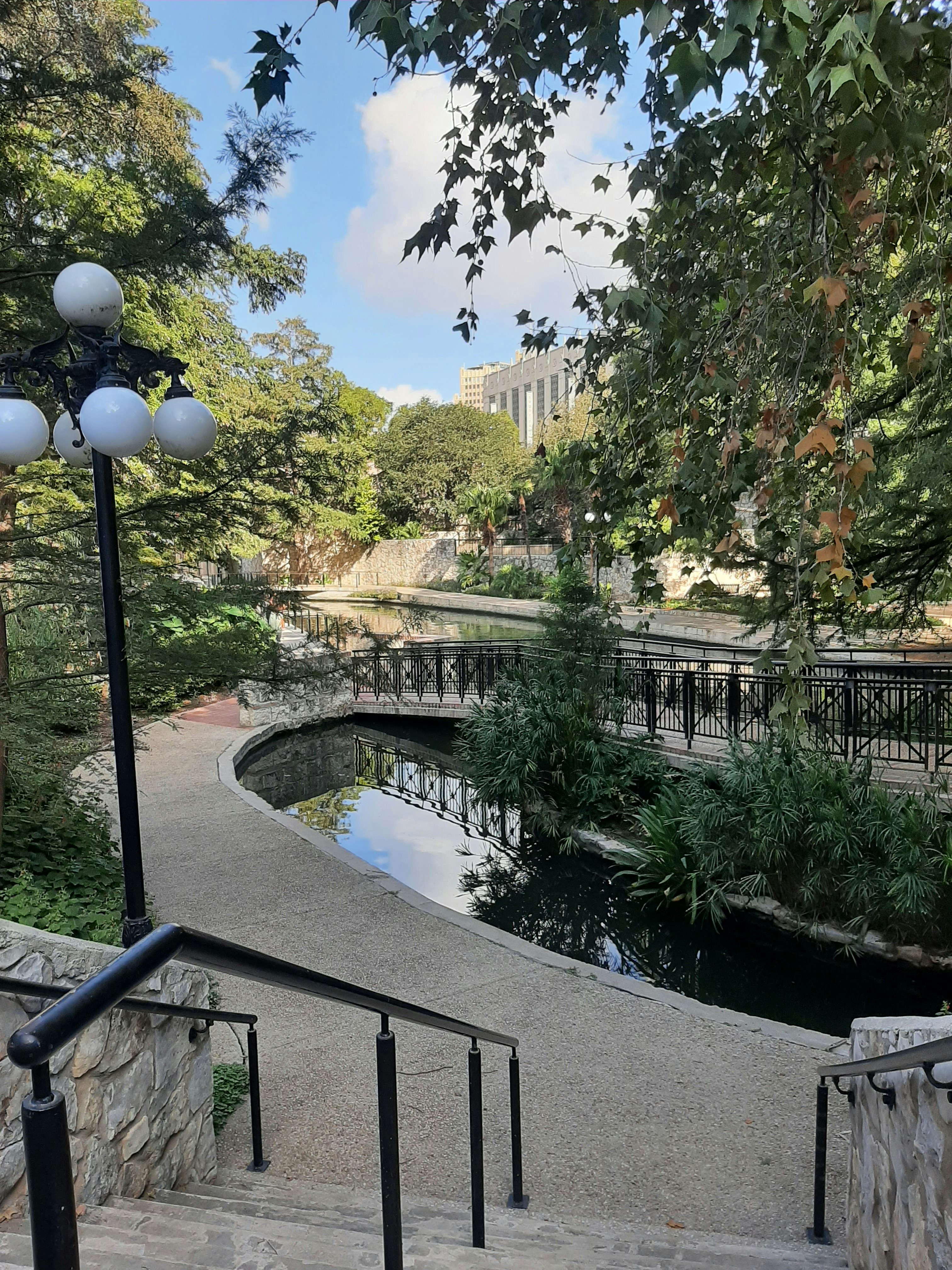 a park with a pond surrounded by trees