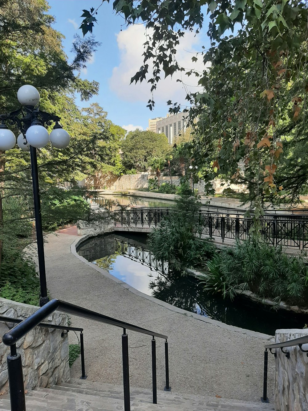 Un parque con un estanque rodeado de árboles