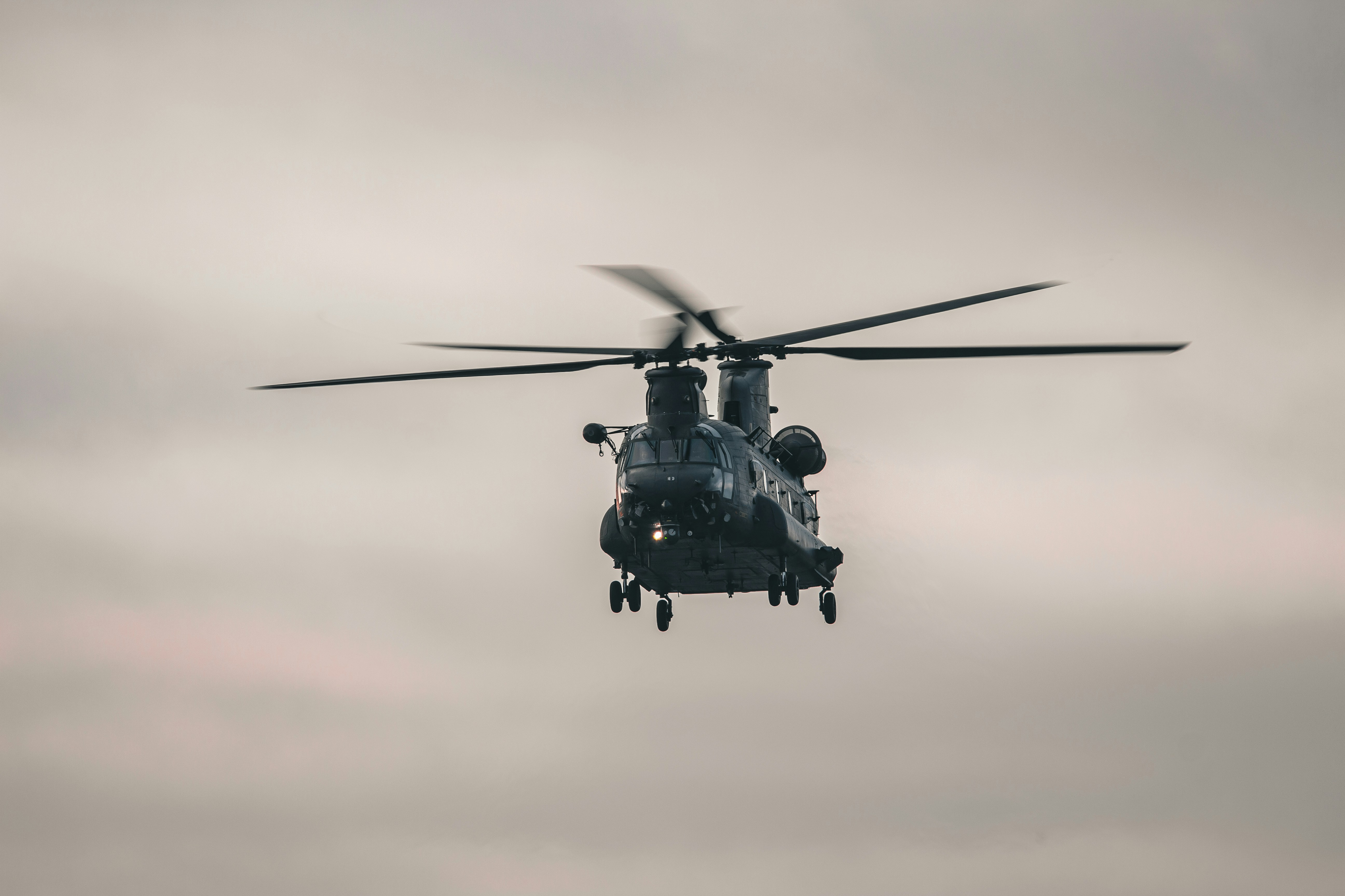 Photo by linxphotography