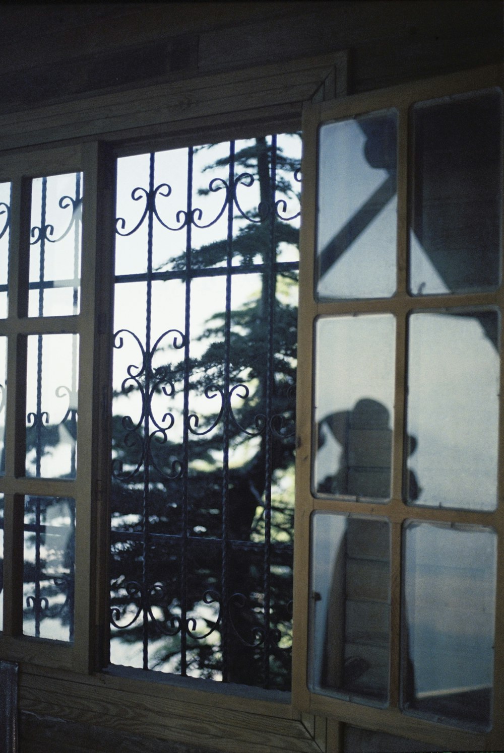 a man standing in front of a window next to a tree