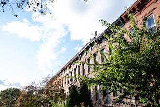 A row of brownstone buildings with ornate architectural details is partially obscured by lush green trees. The sky is bright and partly cloudy, casting dynamic shadows on the buildings.