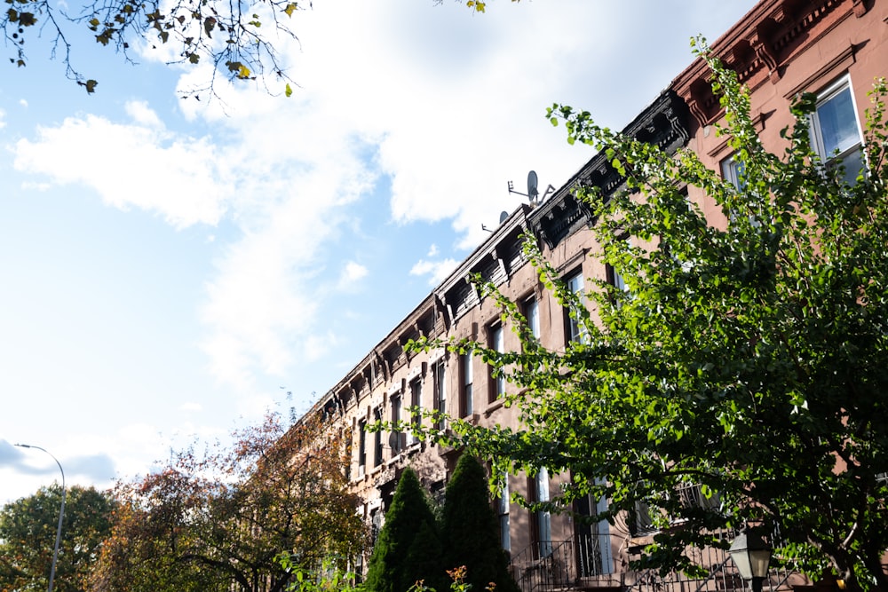 a row of buildings with trees in front of them