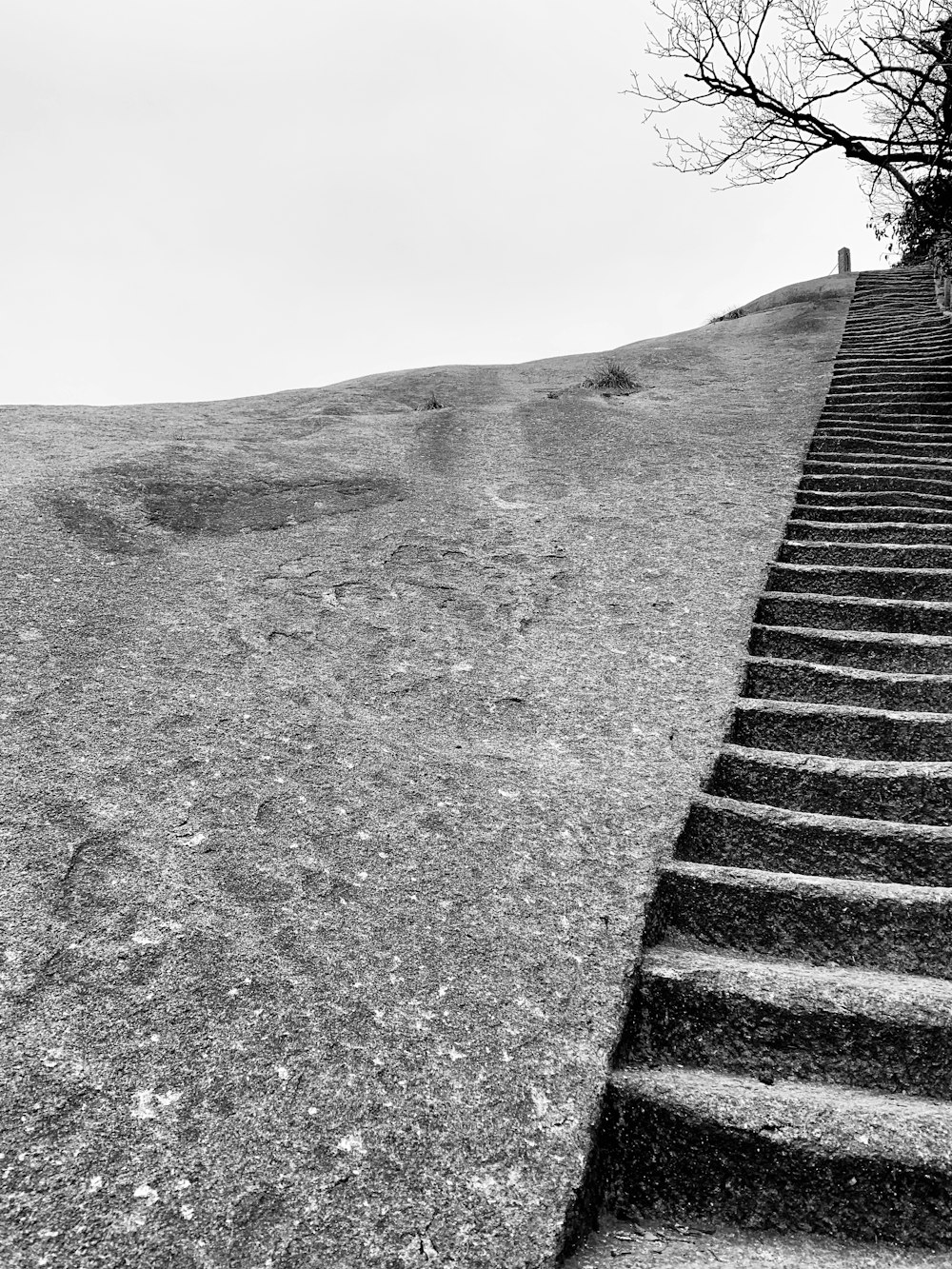 a black and white photo of a set of stairs