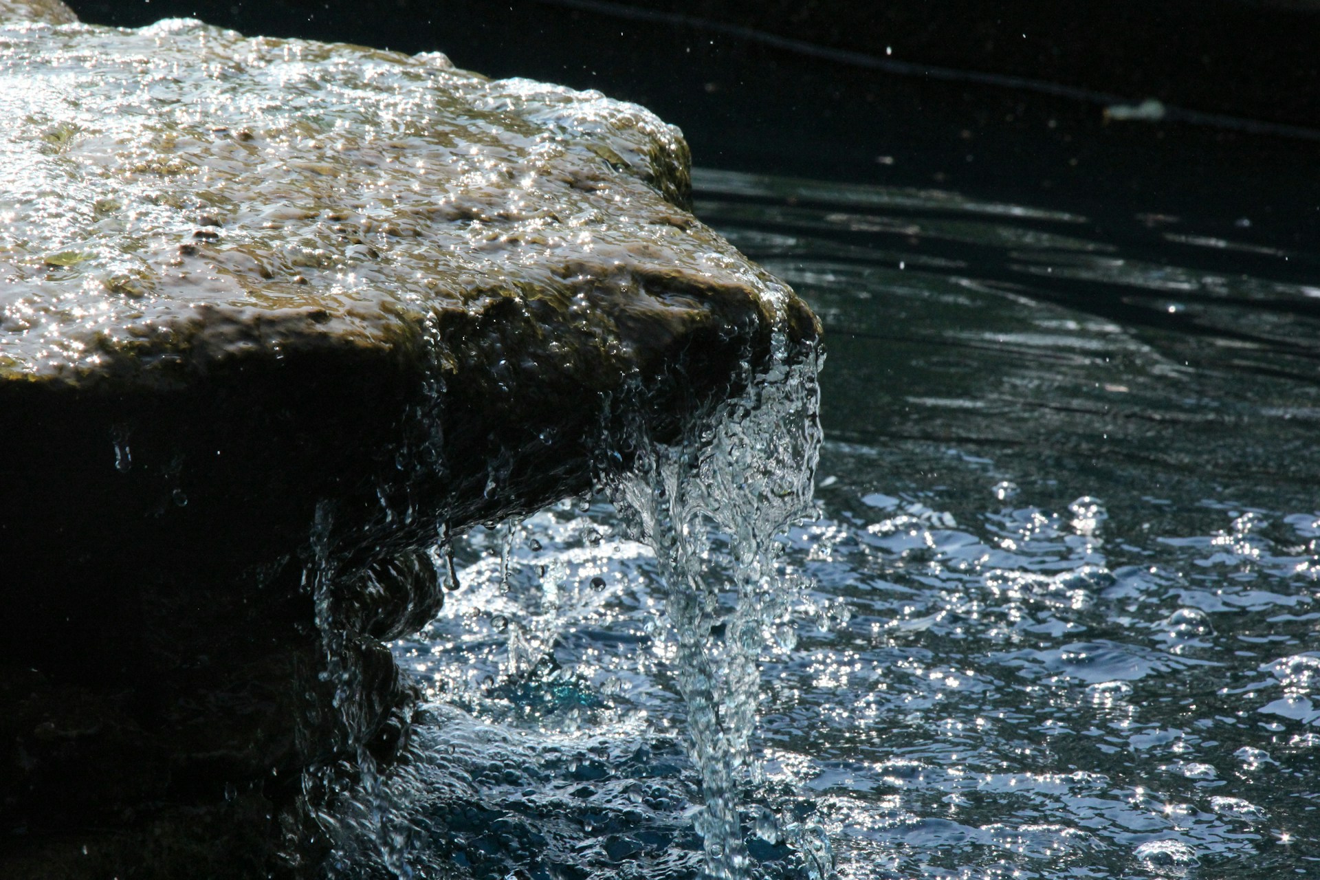 a bird is standing on a rock in the water