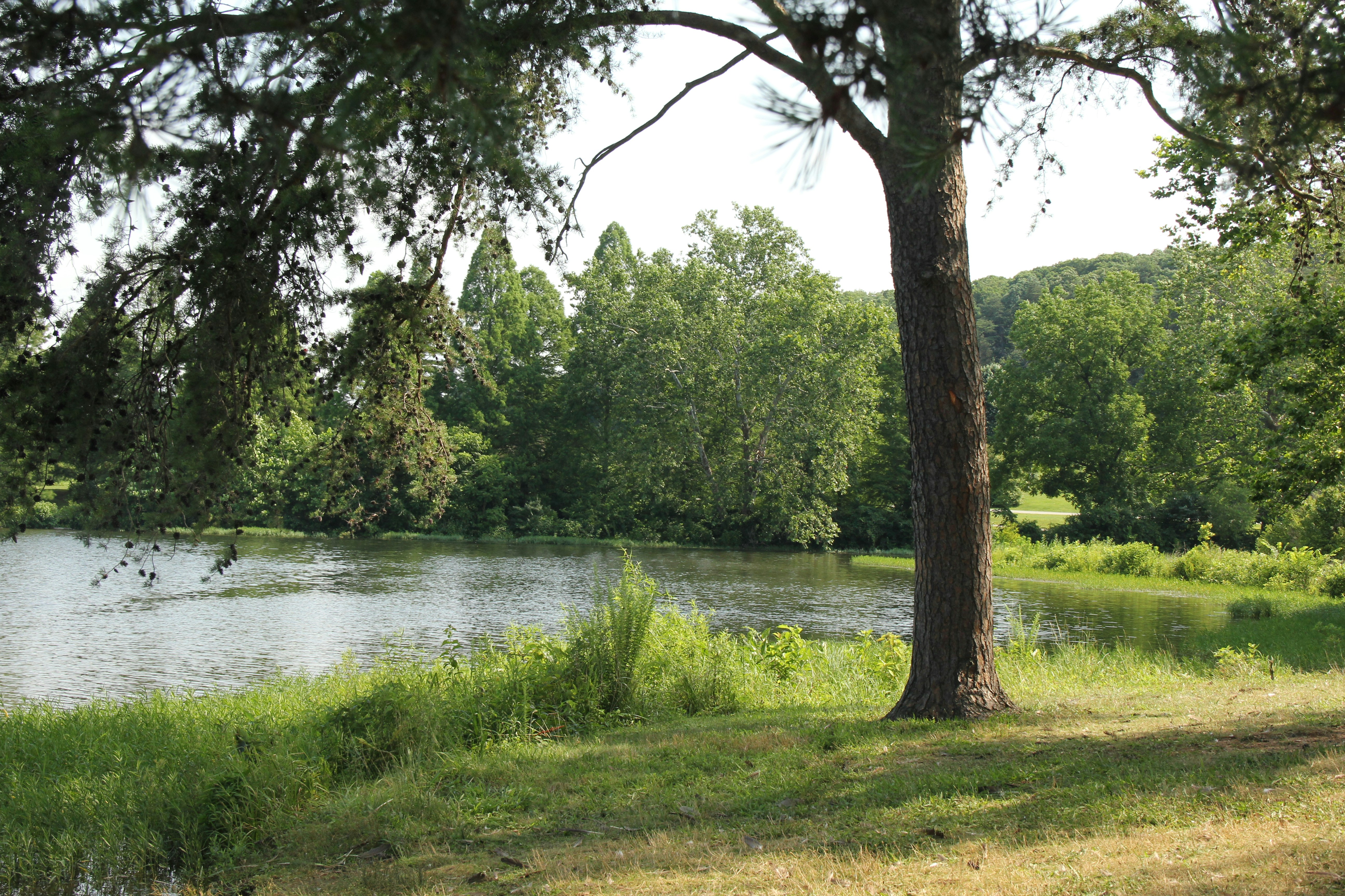 Photo by rileyrevell