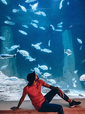 Wartezimmer mit stilvollem Aquarium, das eine entspannte Atmosphäre schafft