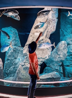 A person wearing a hat and an orange shirt stands in front of a large aquarium, pointing at fish swimming by. The aquarium is filled with various rock formations and several large fish are visible.