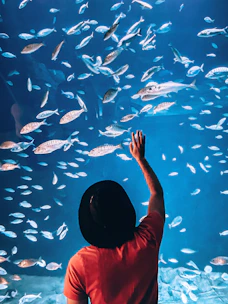 A friendly customer service representative helping a client with aquarium questions.