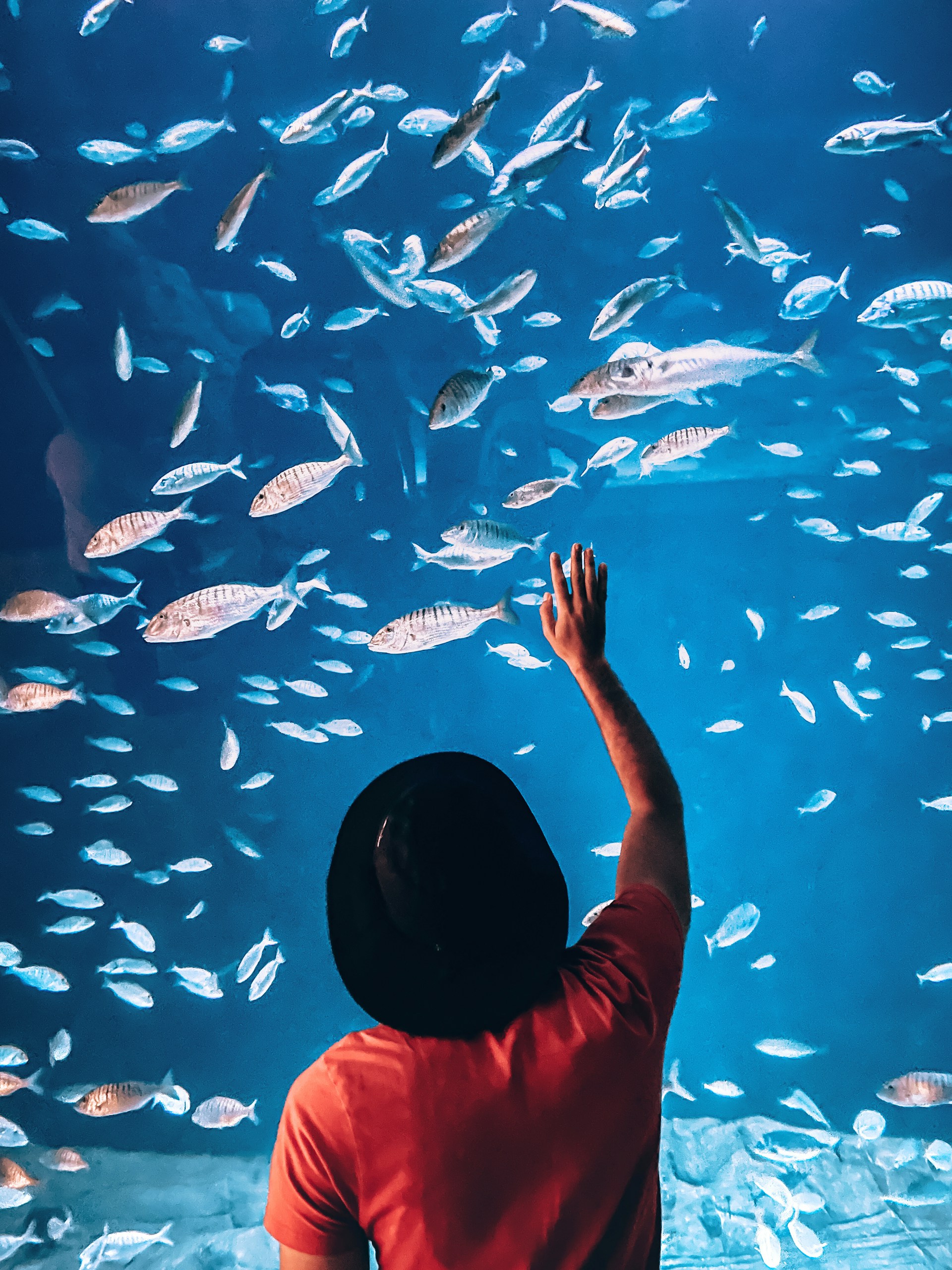 gray computer monitor