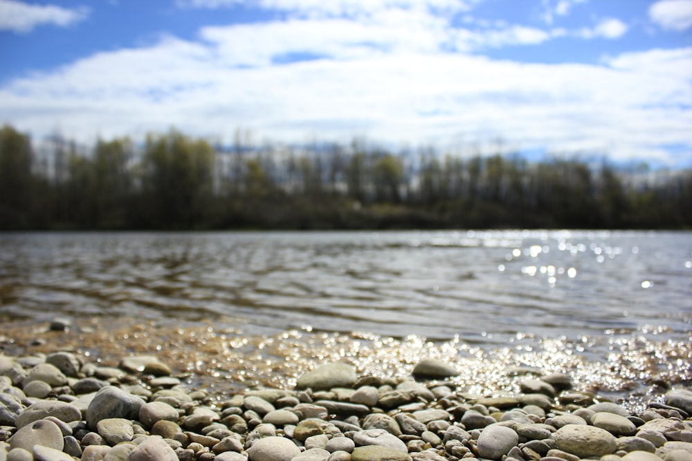 a view of a body of water from a rocky shore