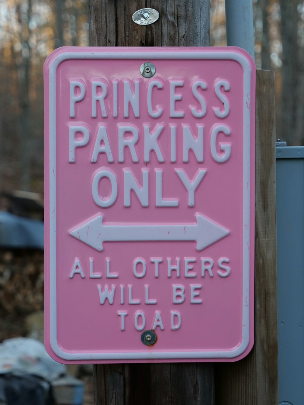 a pink sign that says princess parking only all others will be toad