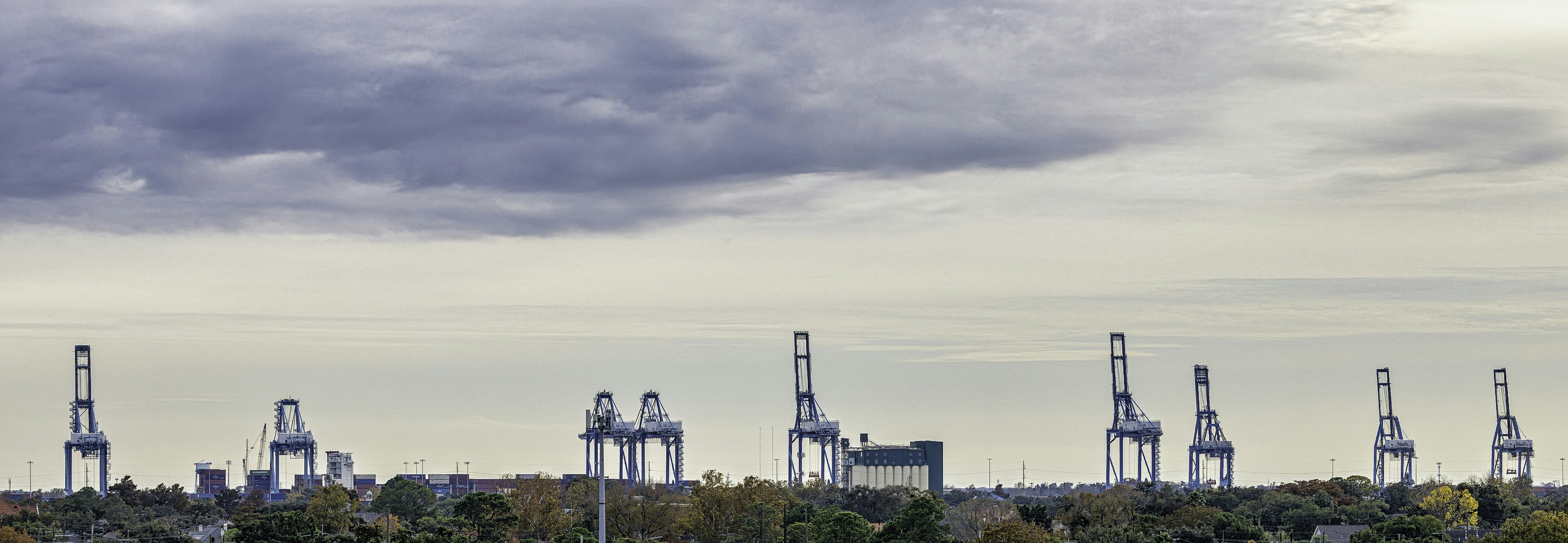 a group of cranes sitting on top of a lush green field