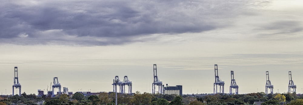 a group of cranes sitting on top of a lush green field