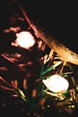Warm glowing lights nestled among green pine needles and golden decorations create a festive atmosphere. The soft focus and bokeh effect enhance the cozy feel.