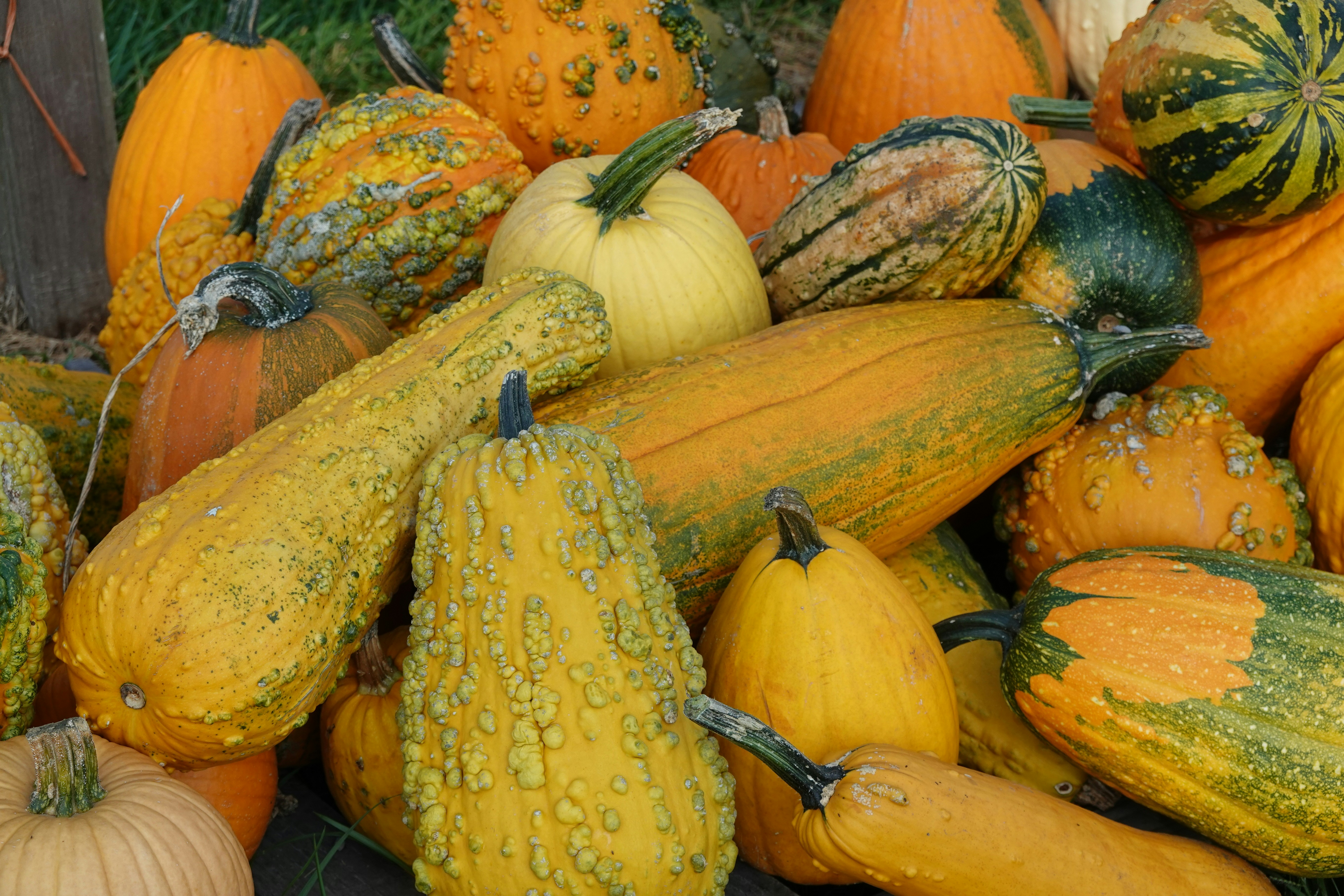 Photo by krazekatlady