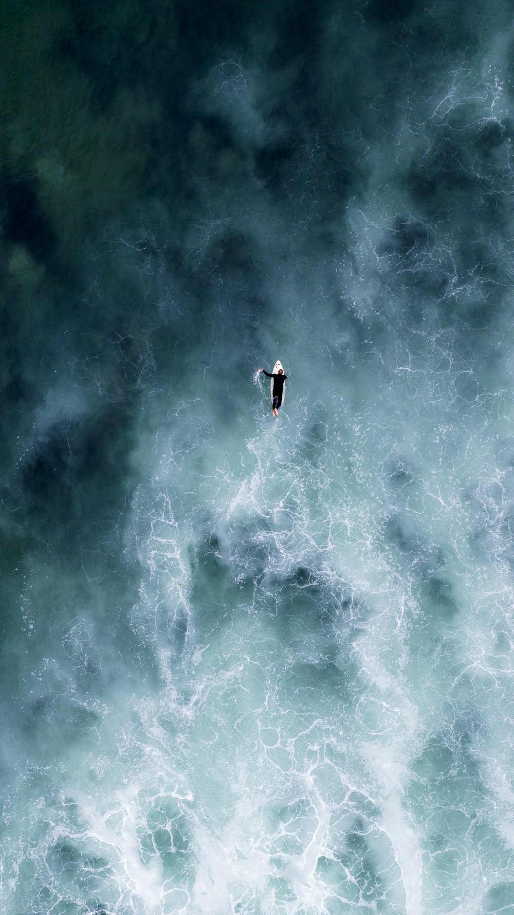 a bird flying over a body of water