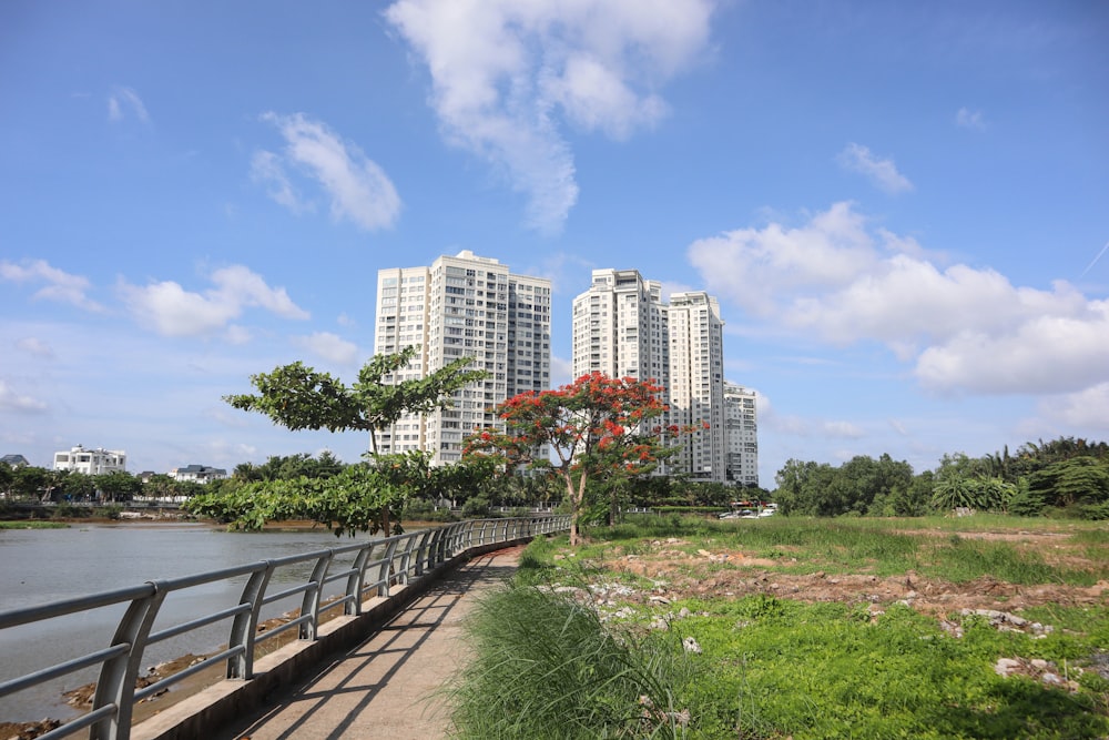 a bridge over a body of water with tall buildings in the background