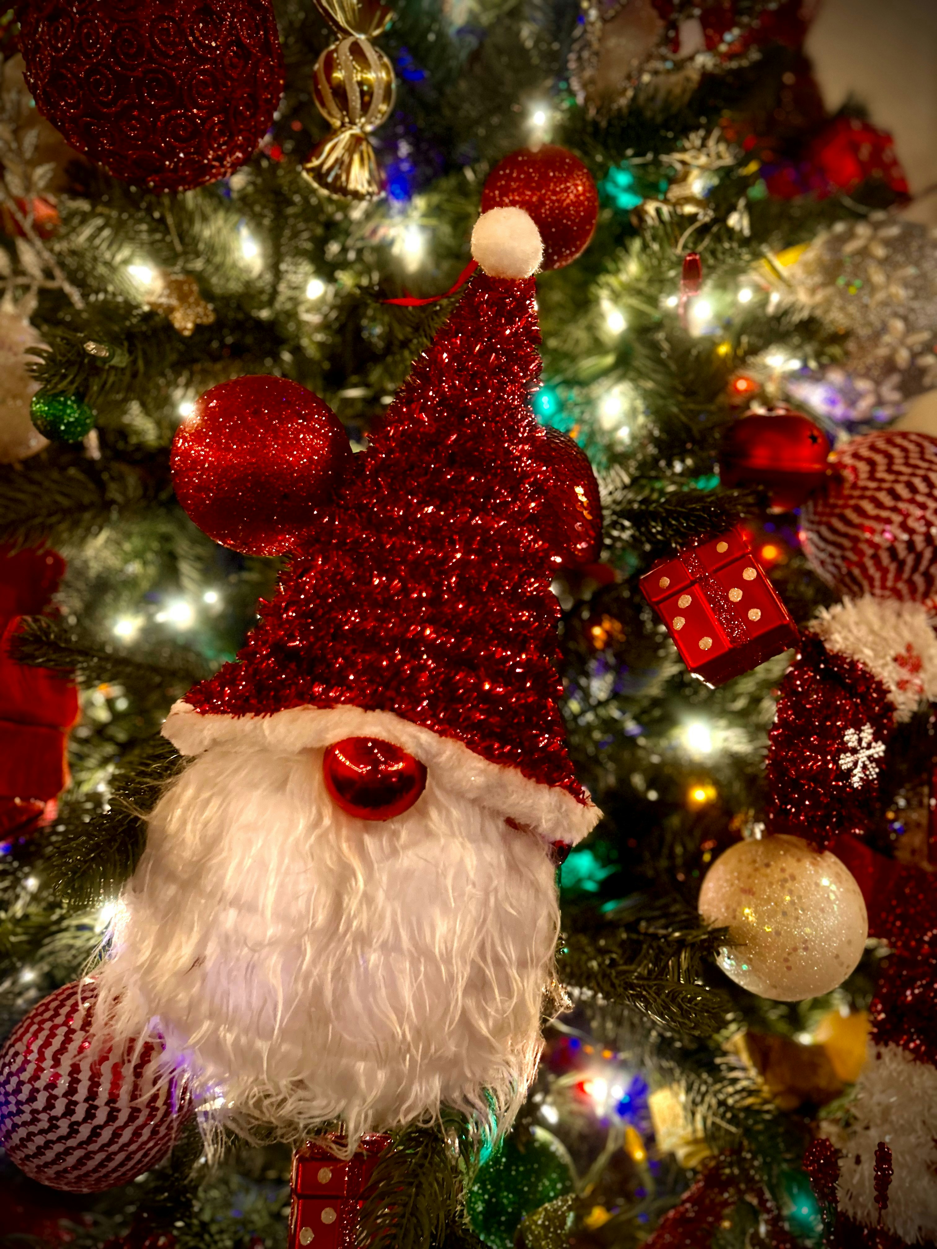 Photo by wanderershoot