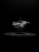 A graceful dancer mid-spin in a flowing dress under soft stage lights.