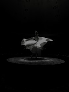 A dancer mid-spin, costume flowing richly against a dark backdrop.