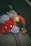 A handmade doll with curly orange hair and a green outfit is lying on blue hydrangea flowers. Next to the doll is a knitted red mushroom with white spots.