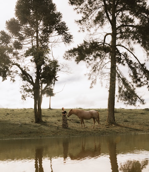 A serene scene by a lakeside featuring a person standing on grass next to a calm horse. Large pine trees frame the composition, casting gentle shadows. The water reflects the imagery above, creating a sense of balance and tranquility. The sky is overcast, contributing to a peaceful, contemplative atmosphere.