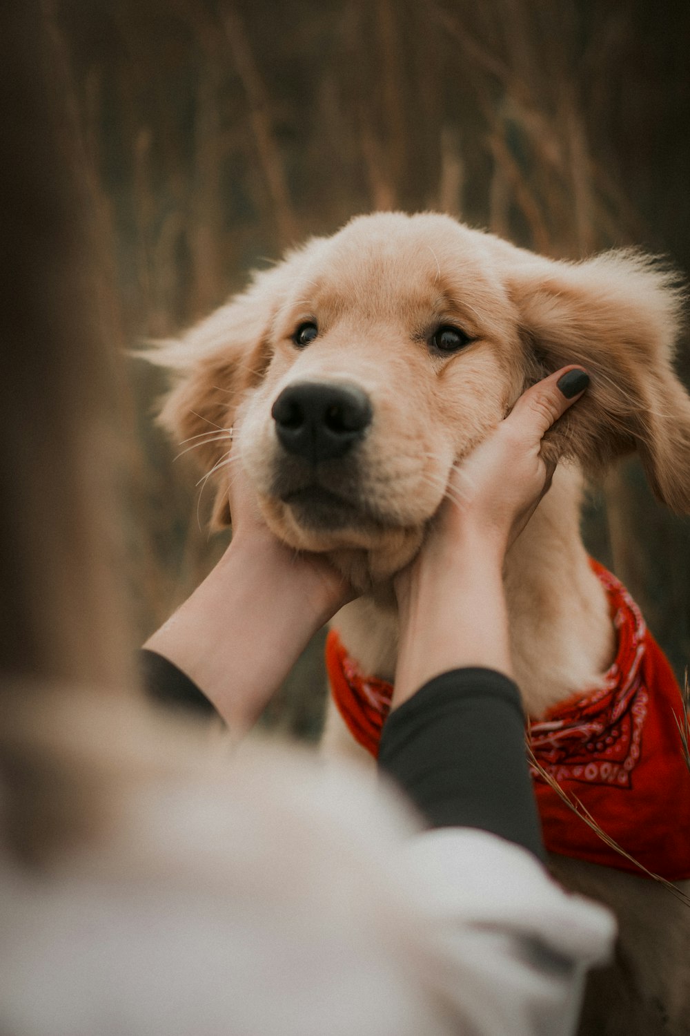 a woman holding a dog in her arms